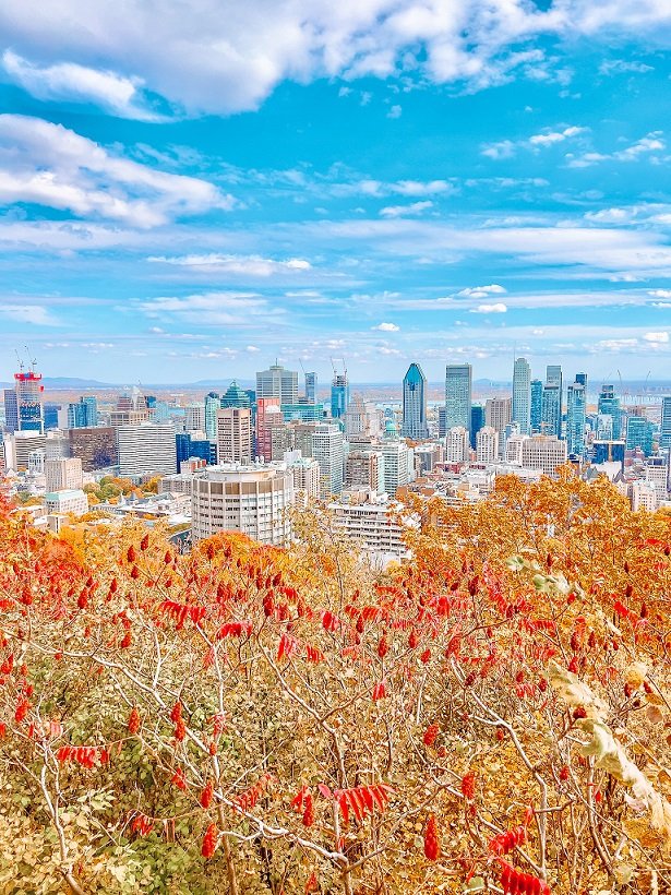 Mont Royal viewpoint - Montreal - Pack and Jet travel blog