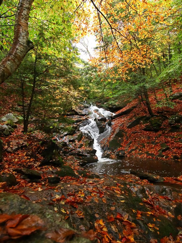 gatineau park quebec - fall colors in quebec - pack and jet